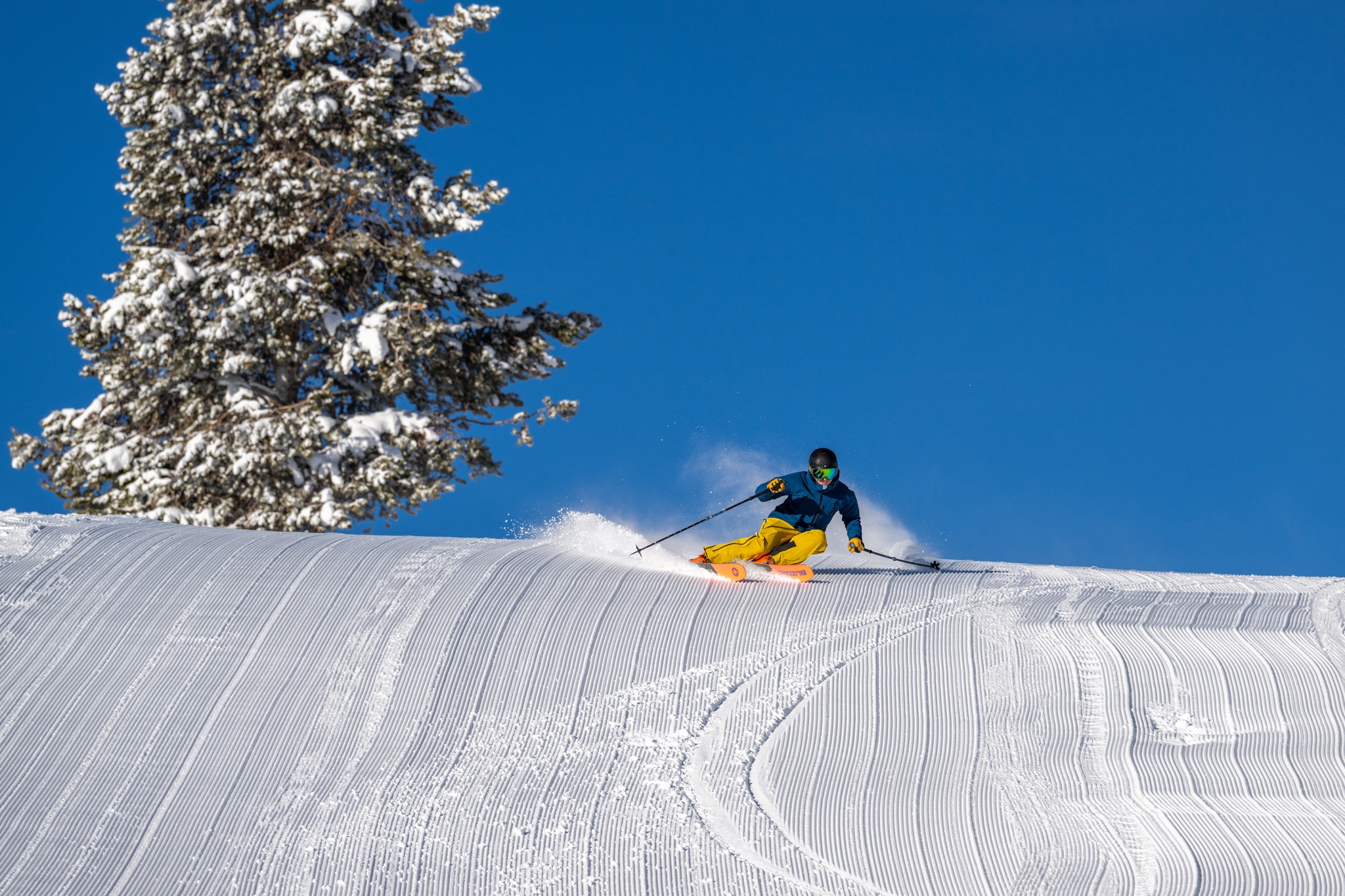 SYNC Performance Sales Shop -SYNC Performance Sales Shop 272874969 5380016732010432 8390328083597377602 n